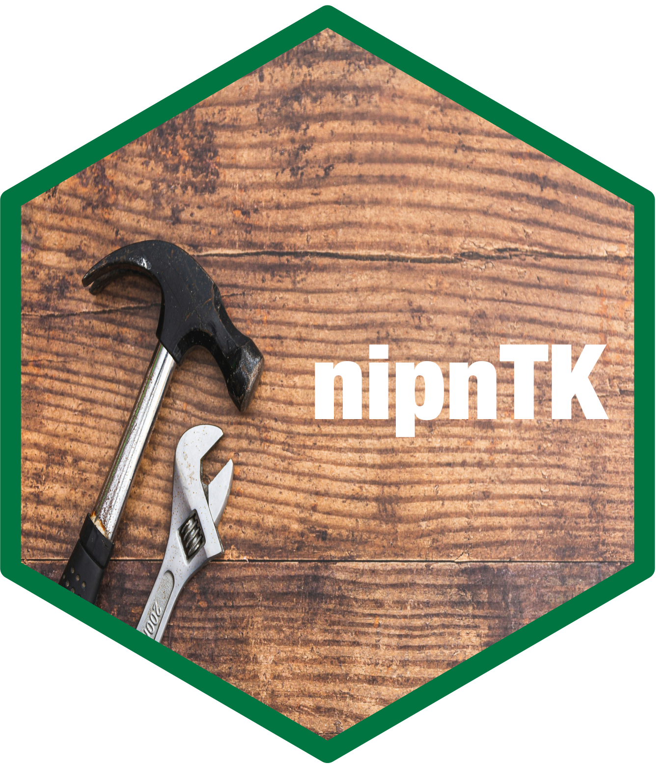 nipnTK hex sticker